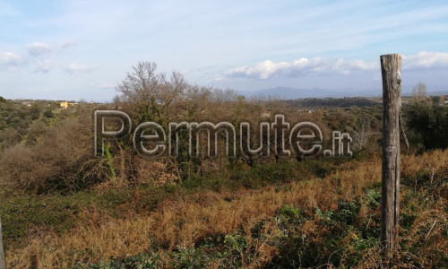 Bosco querce con ruscello acqua limpida Sacrofano